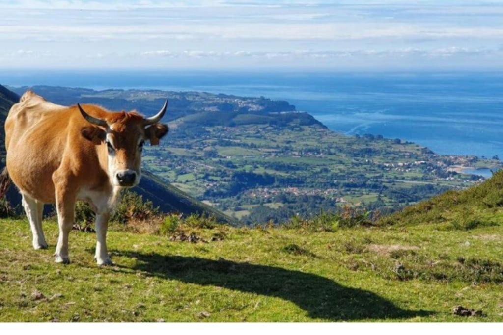 Casa Todah, Playas Y Montanas Duesos Екстер'єр фото